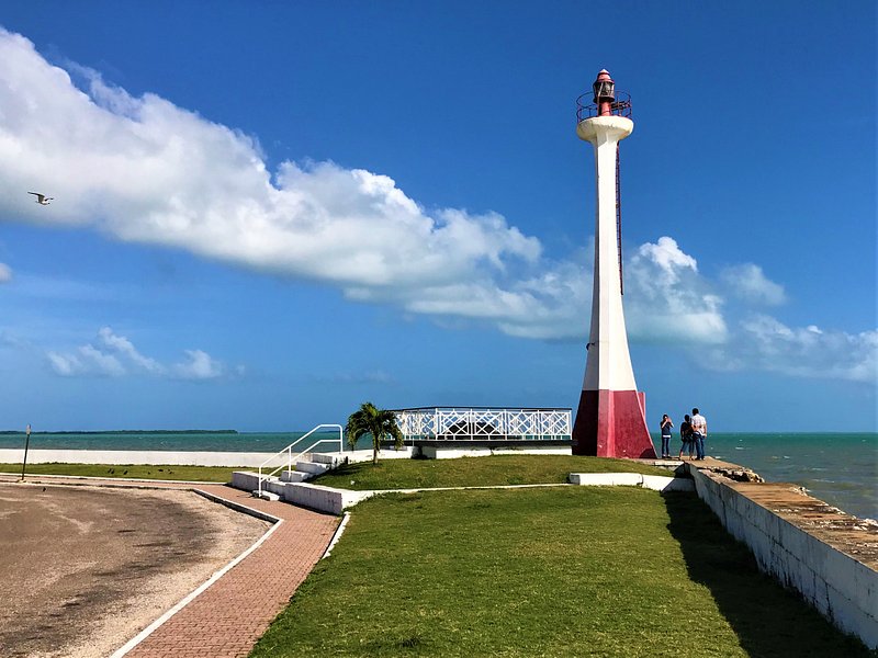 Weed in Belize City