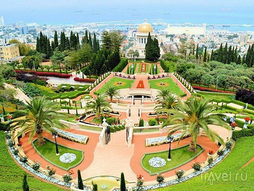 How do I locate a weed vendor in Haifa