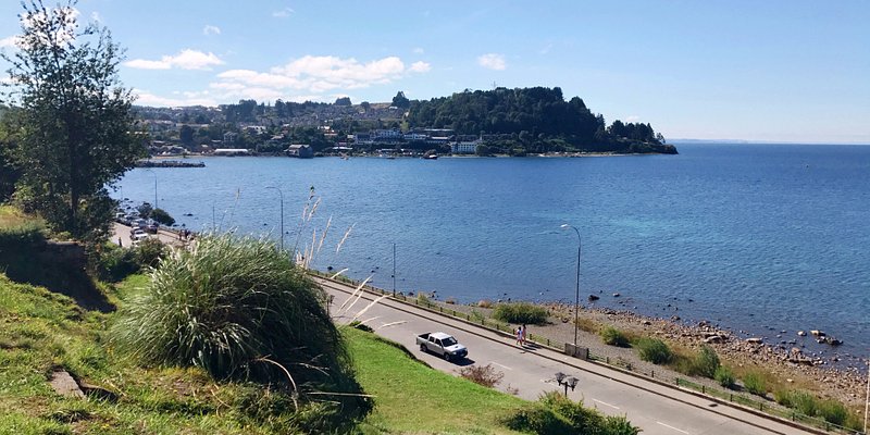 Weed in Puerto Varas