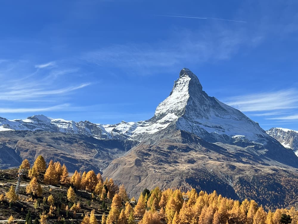 Weed in Zermatt